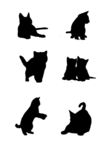 小猫剪影