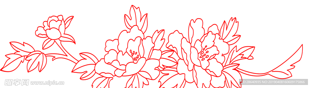 牡丹花绘制