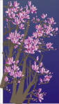 玉兰花