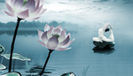 瑜伽