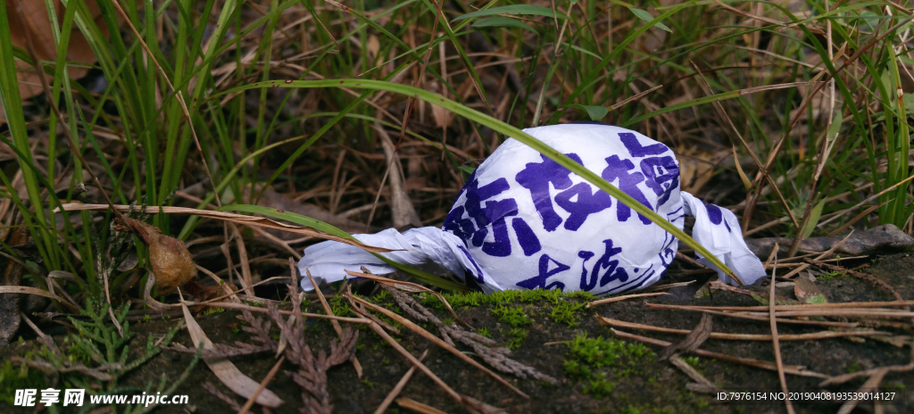 陈皮梅