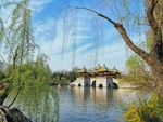 公园