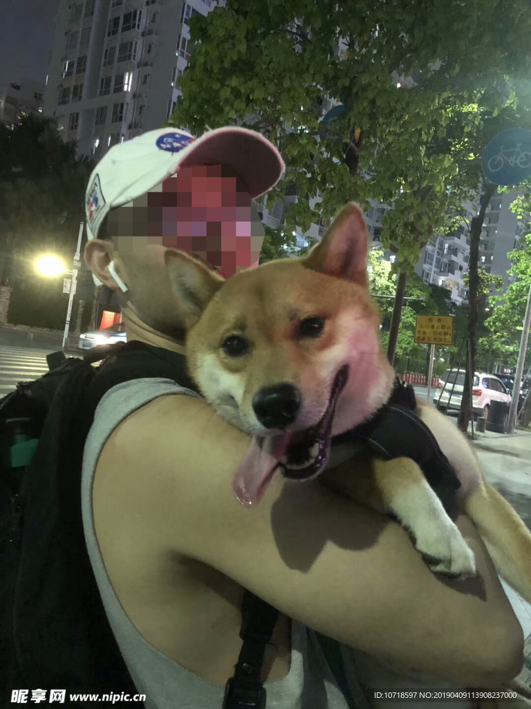 狗狗