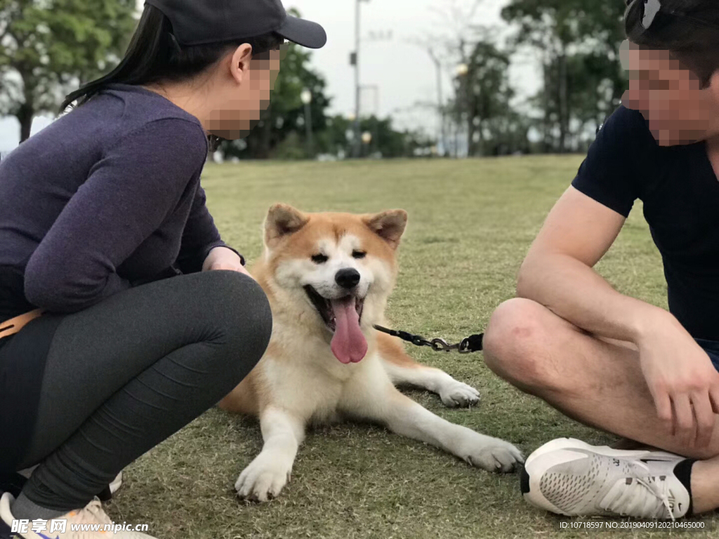 狗狗