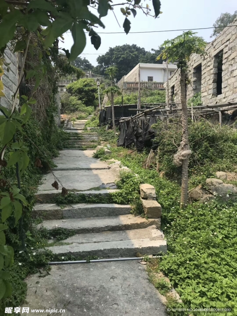 户外风景