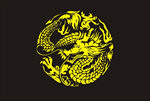 龙