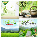 茶