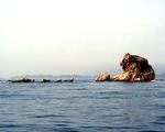 大海山石图片