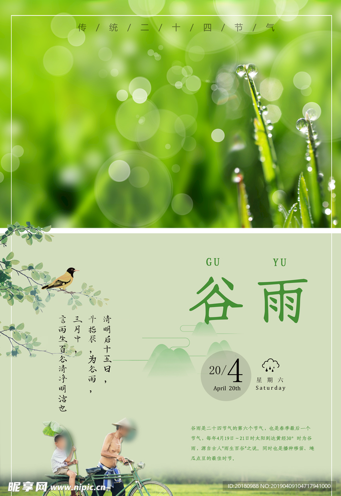 谷雨