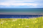 青海湖