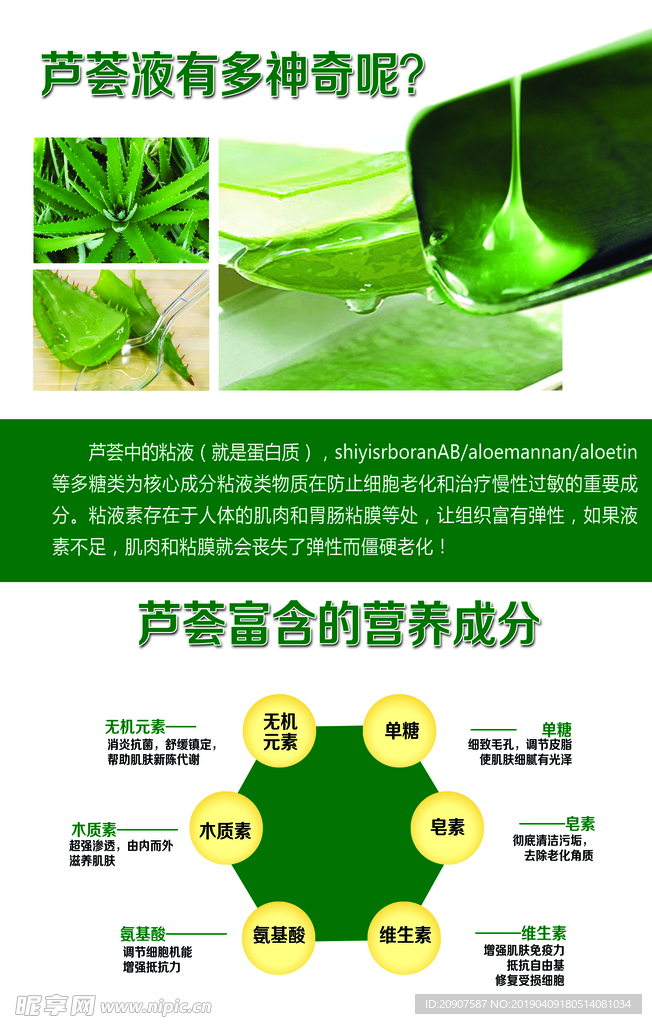 芦荟 美容  海报  花溪芦荟
