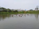小河