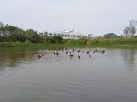 小河