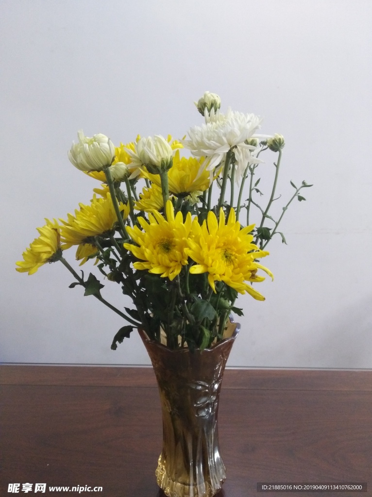 菊花