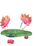花边