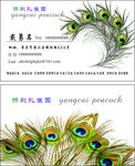 孔雀园名片