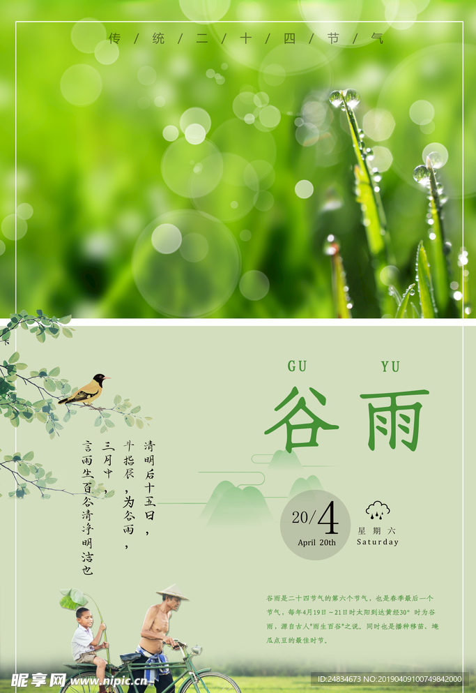 谷雨
