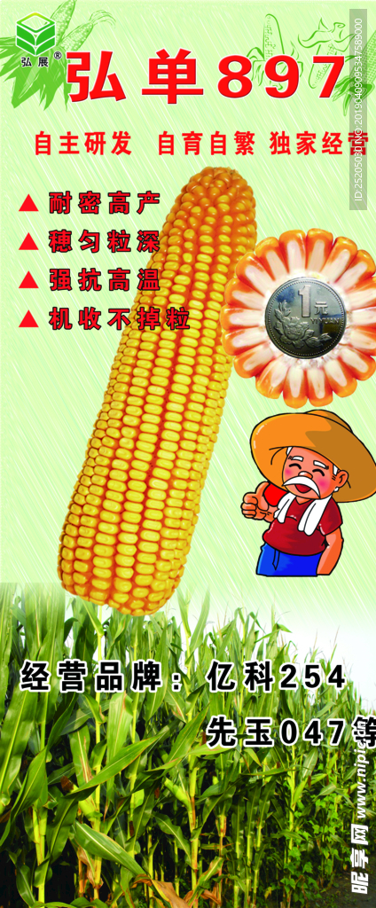 弘单897