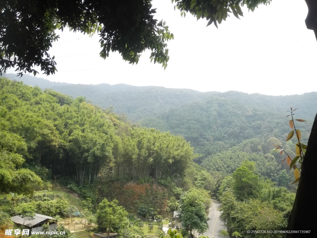 山