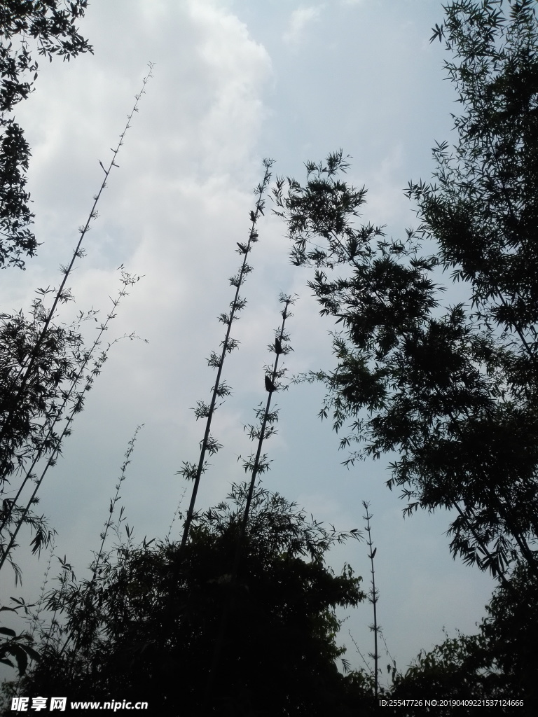 天空