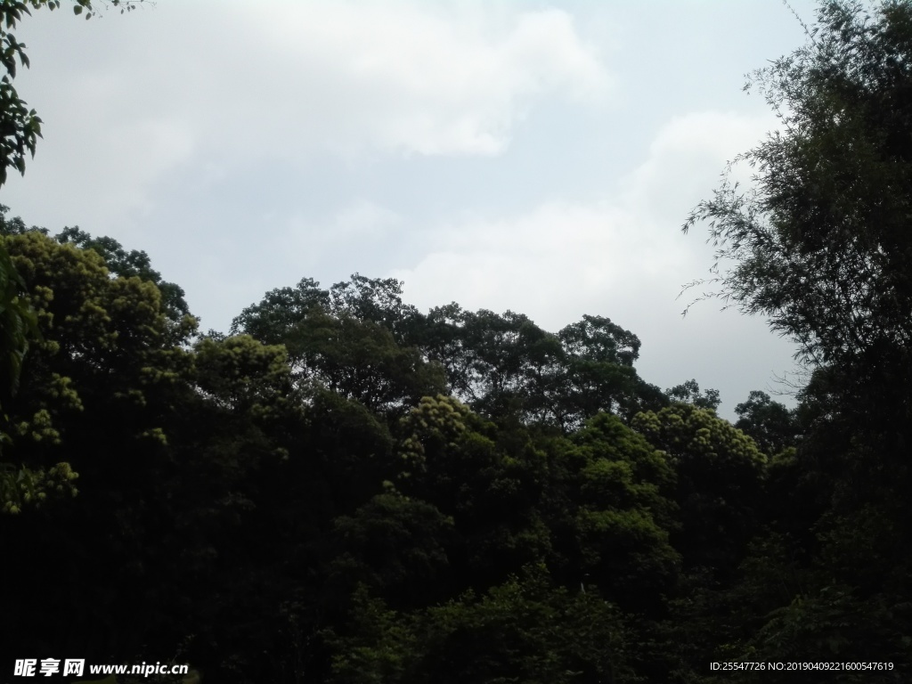 山 山体 山貌 植被 植物 绿