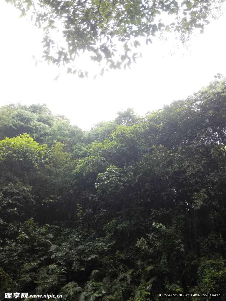 山