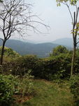 山
