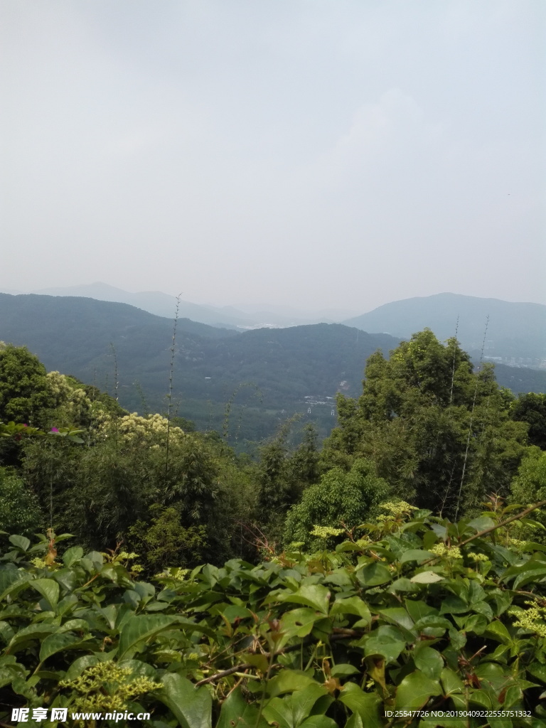 山