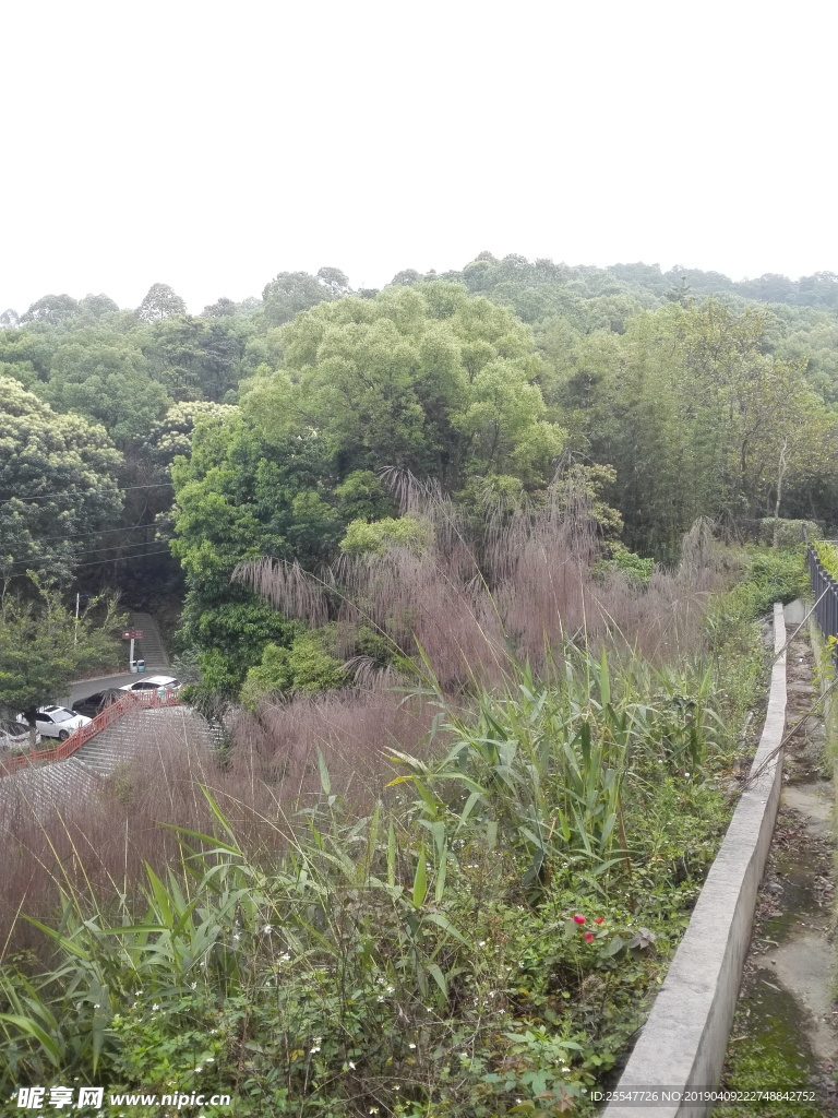 山