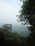 山