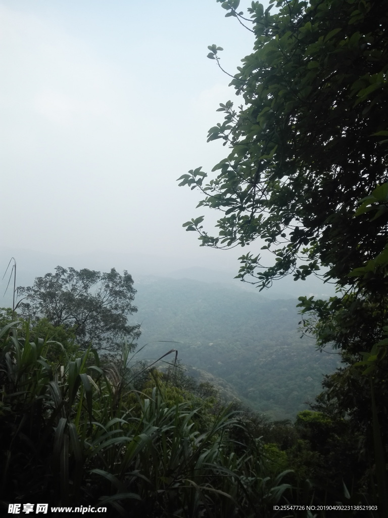 山
