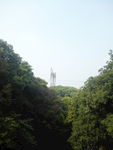 山