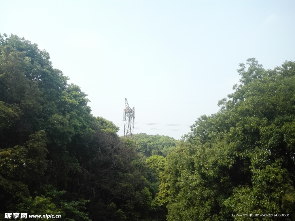 山