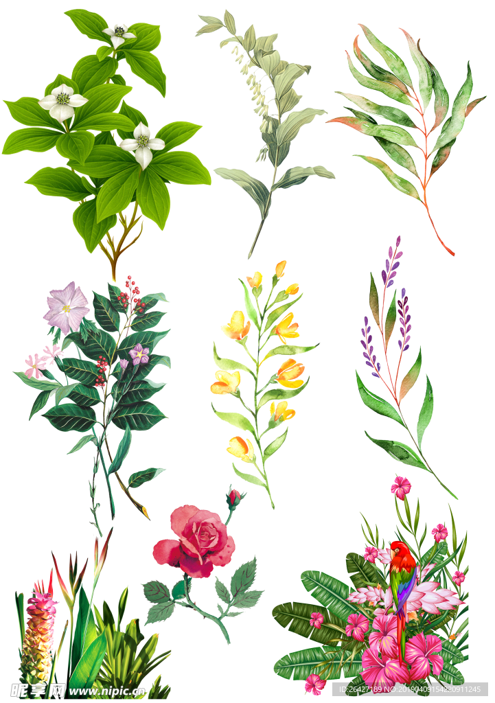 手绘花卉27