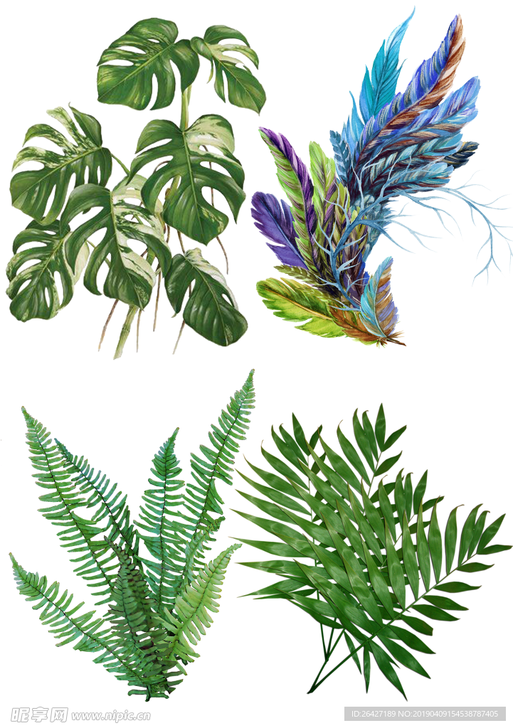 手绘花卉26
