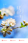 肆月你好