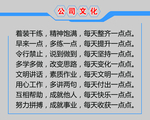 公司文化