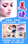 美睫