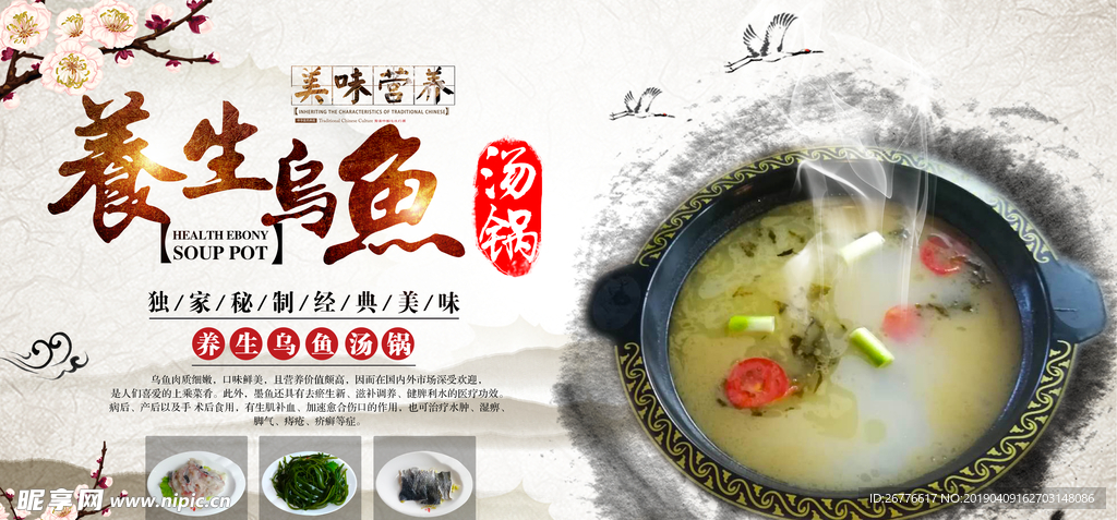 乌鱼