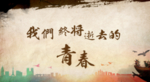 致青春