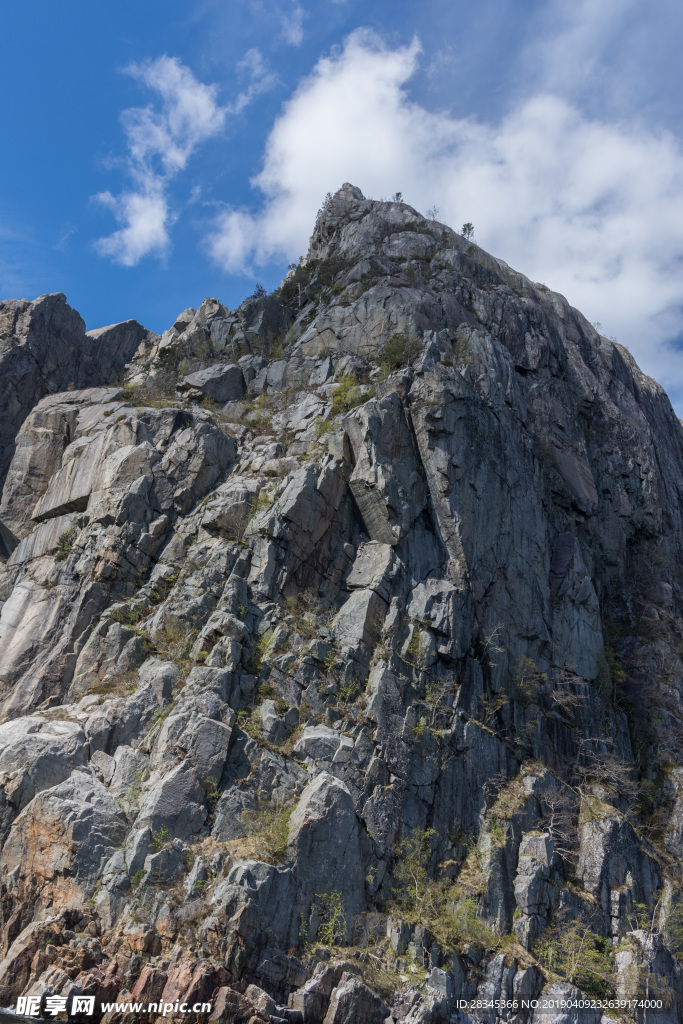 山