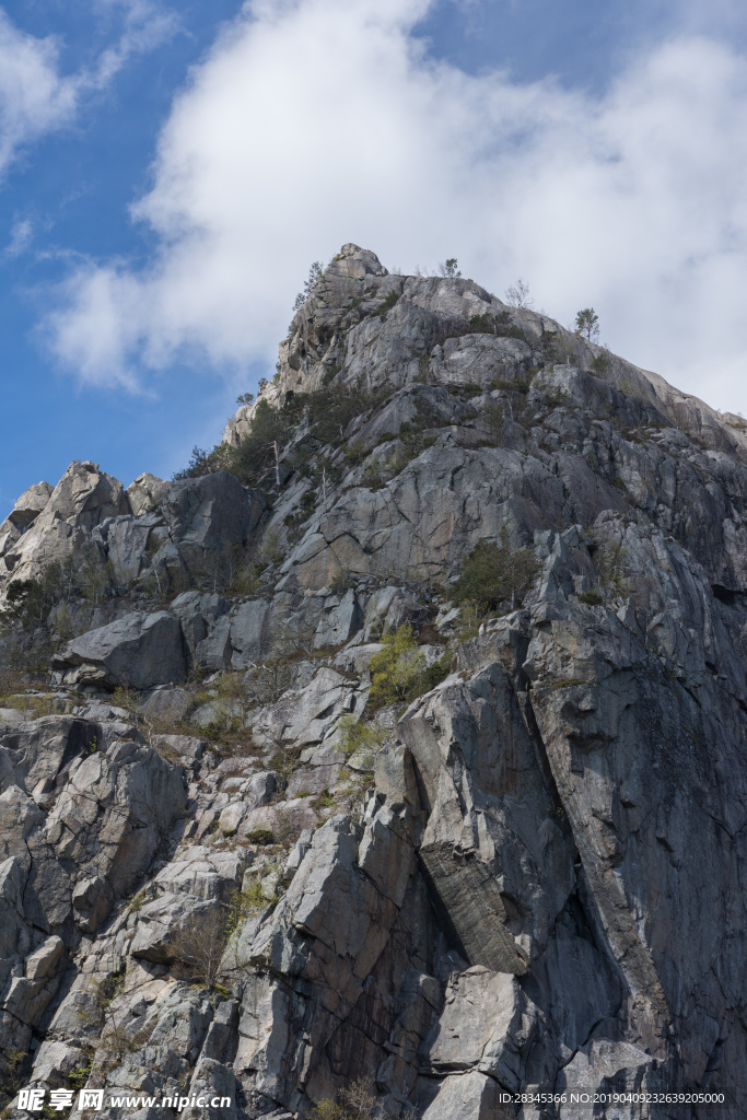山