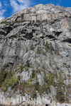 山