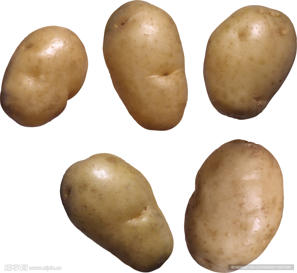 土豆为什么发了芽就不能吃了，就有毒了呢，我们常吃的豆芽，不会就是土豆发了芽才能叫豆芽的吗-