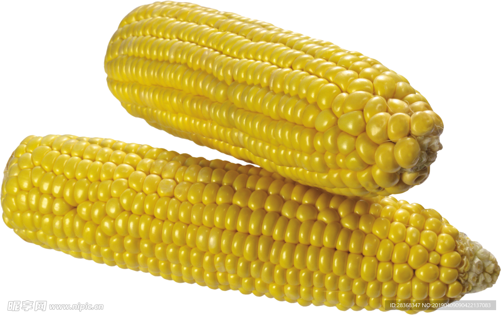 玉米