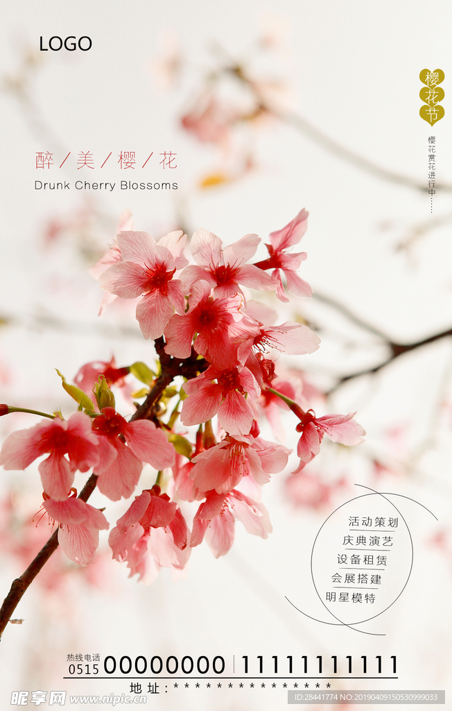 樱花节