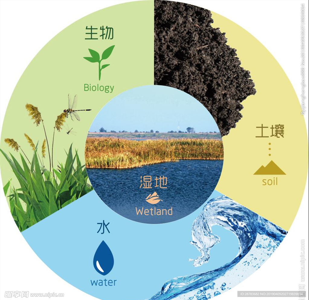 湿地构成