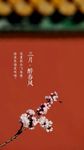 三月 花 宫殿 皇宫 红墙