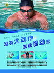 游泳宣传单页