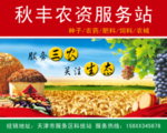 秋天丰收季